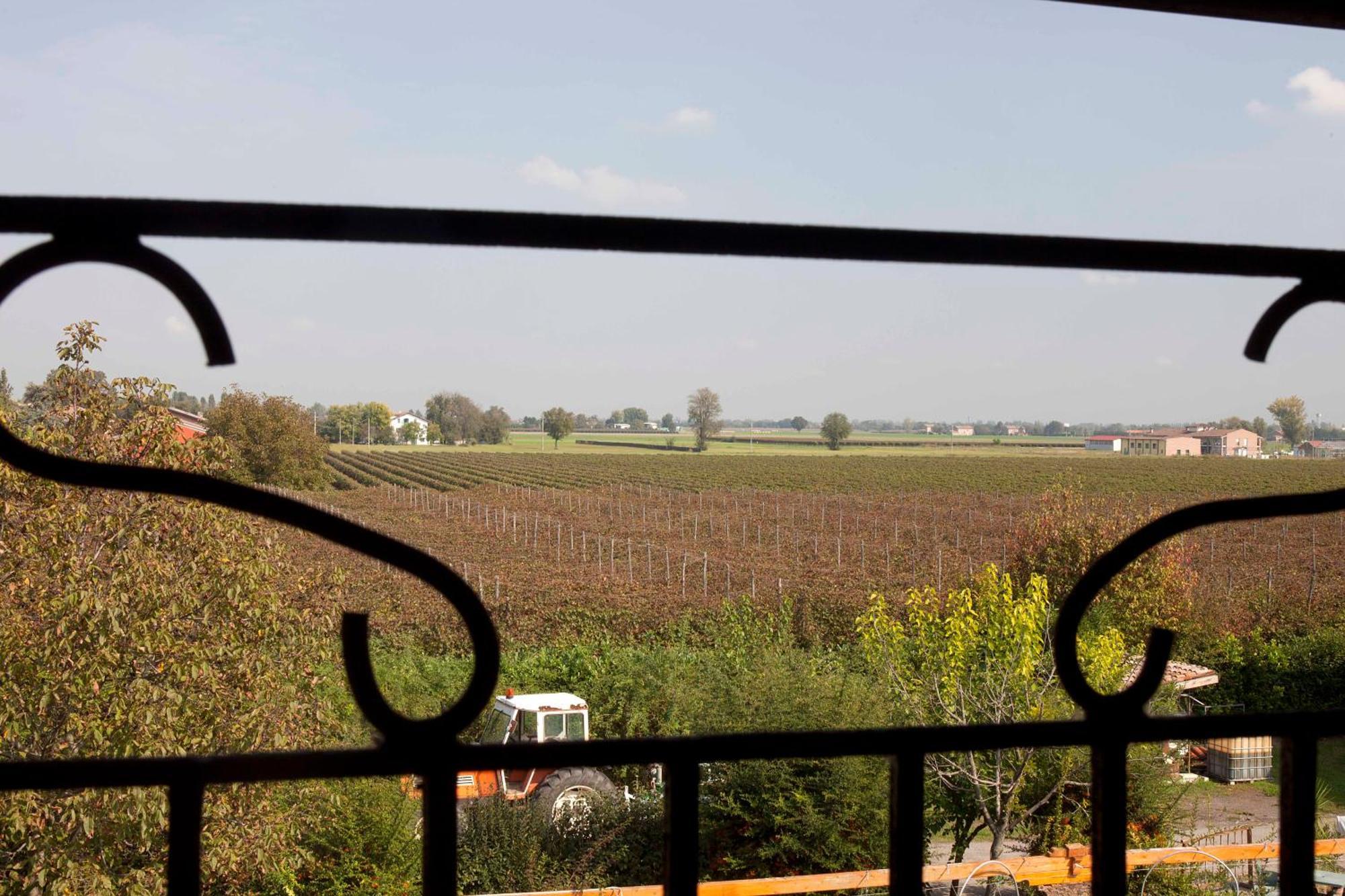 Agriturismo Il Bove Реджонель-Эмилия Экстерьер фото